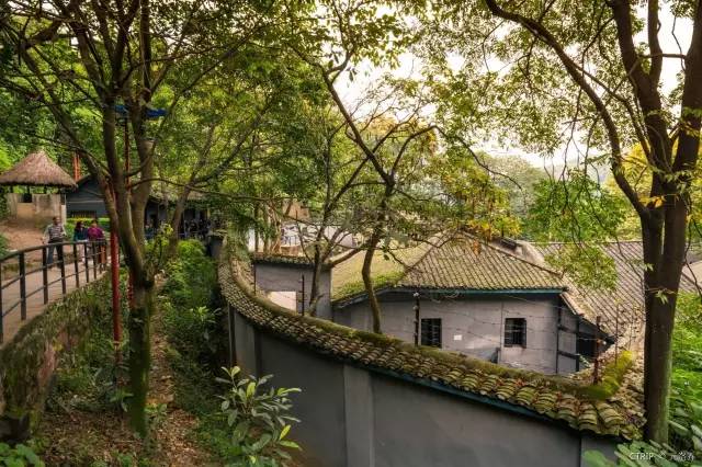 新晋热门旅游网红城市,网红城市游玩攻略