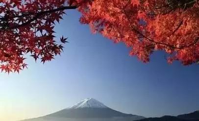 日语和韩语哪个更有用,中国人学习日语韩语容易吗