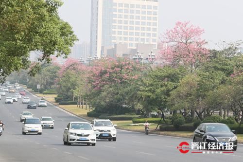入选交通部“最具人气的路”提名！一起为晋江世纪大道和东石园东路助力