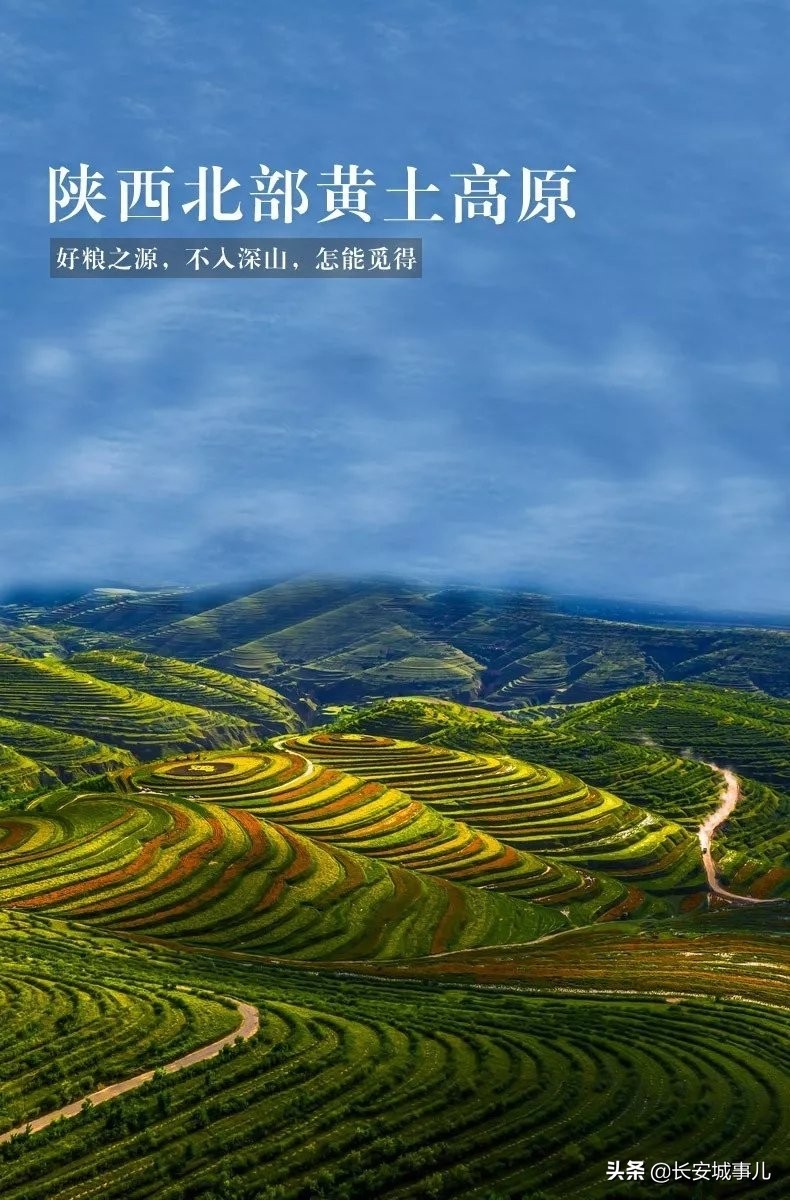 那年愿,那年愿产品介绍