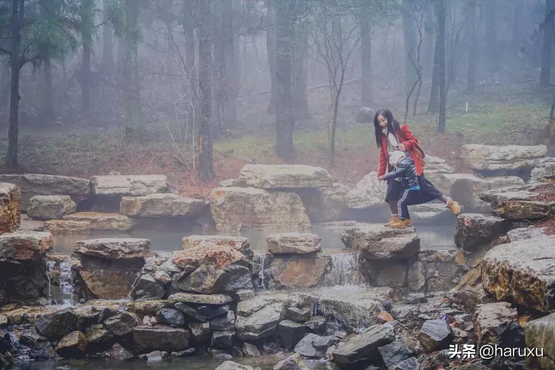 南方也能下雪吗,南方也能见到雪