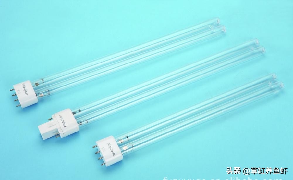 草缸新手入门需要准备什么设备,玩草缸怎么玩