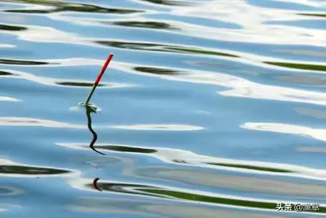 冬季大鱼进窝不咬钩怎么办,大鱼都进窝了还能钓吗