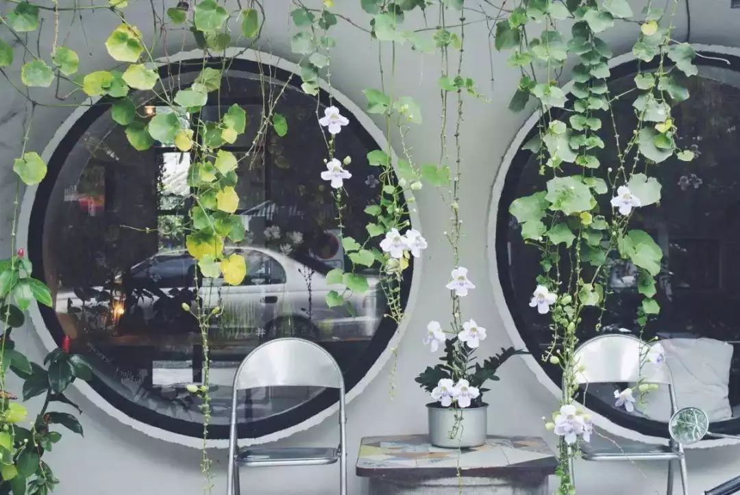 清迈夜间动物园旅游攻略,清迈到曼谷自驾游攻略