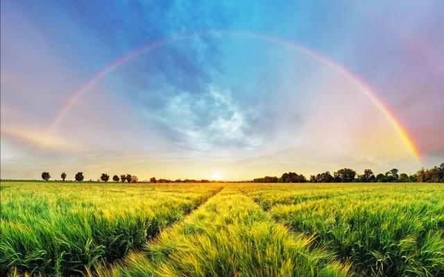 在一家离职率高的公司，做的不开心要跳槽吗？