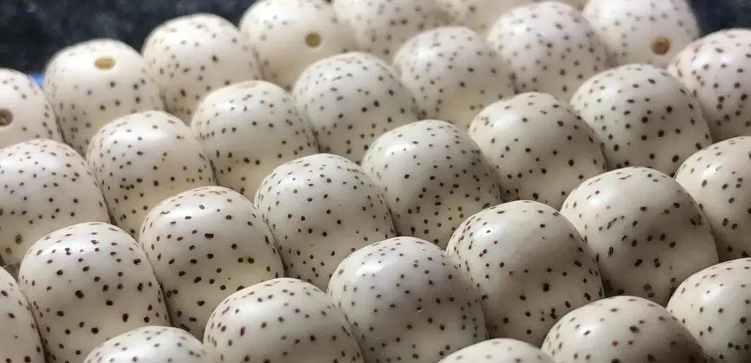 星月菩提阴皮是什么意思,星月菩提的阴皮怎么形成的