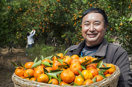 拼多多上东西那么便宜怎么赚钱,拼多多上东西为什么那么便宜