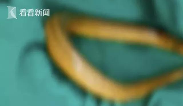 男子探险意外发现洞穴奇异生物,男子潜水意外发现7米长巨蛇