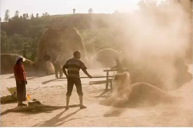 我们曾经放过的麦假