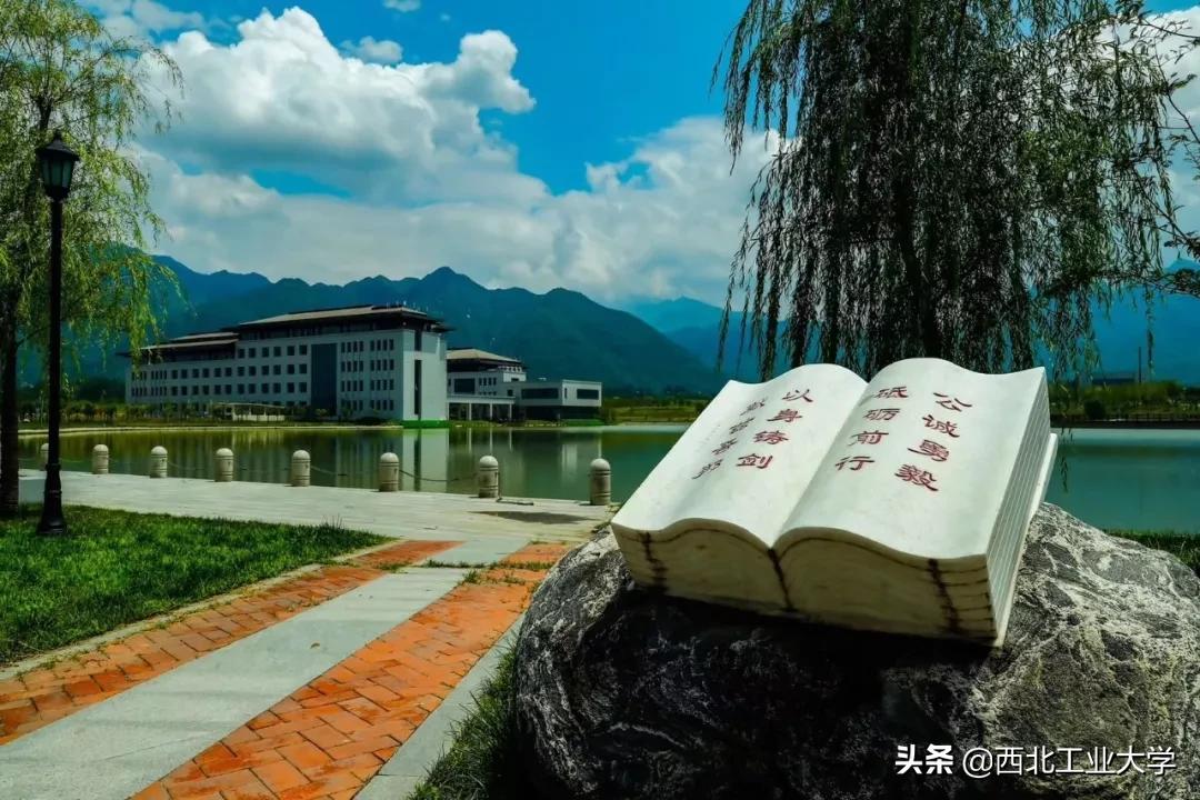 西工大就业信息报告,西工大就业去向