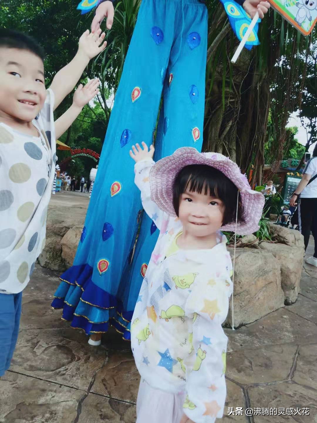 长隆野生动物世界旅游,感受热带南国风景