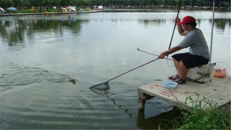 大鱼上钩最简单的方法,大鱼上钩怎么防止脱钩