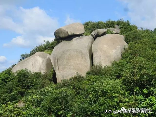 江西100多一瓶的酒,江西南康老酒