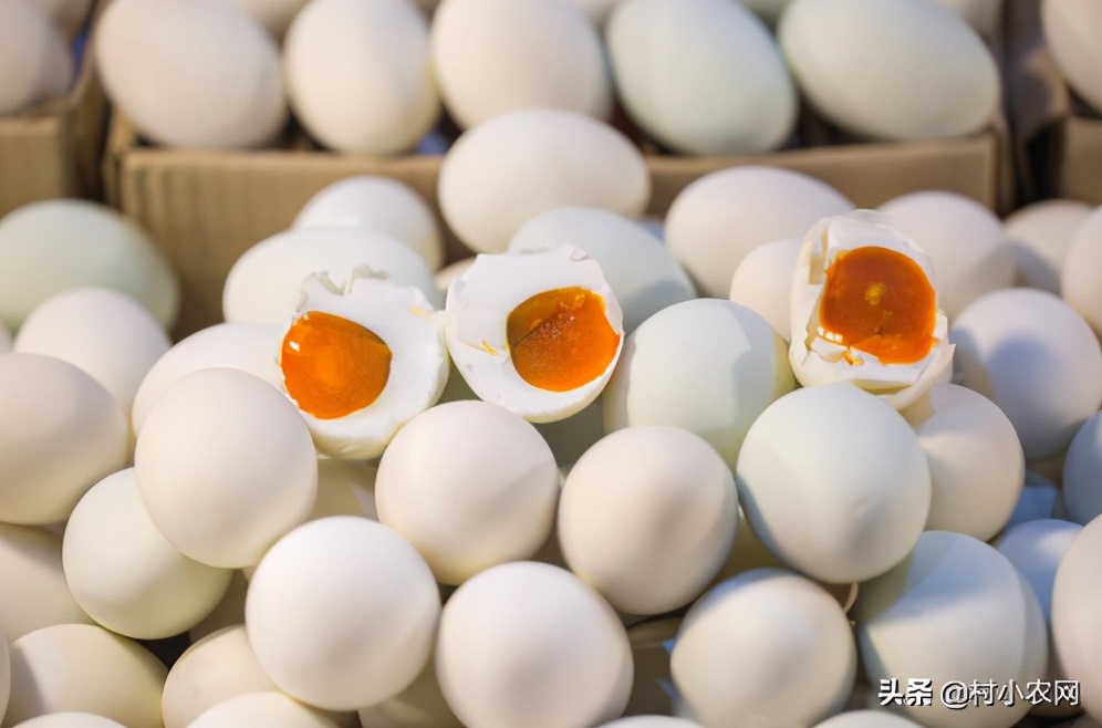 适合农村创业致富的项目有哪些,2021致富新机器