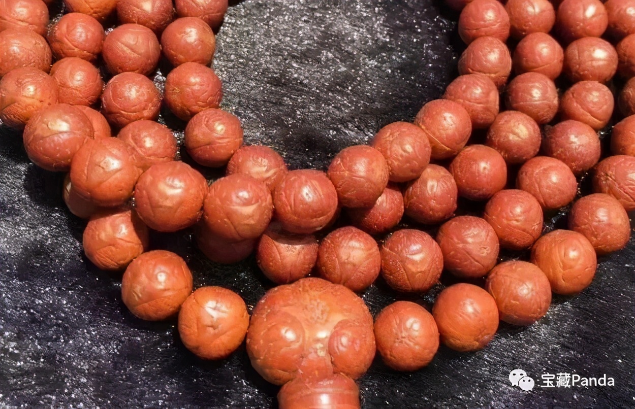 龙眼眼菩提,龙眼菩提和凤眼菩提有什么区别