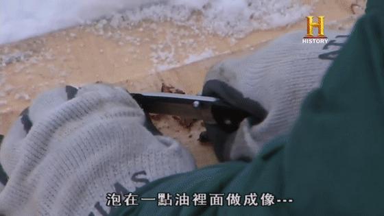 河狸皮毛的优点,河狸皮毛十分名贵