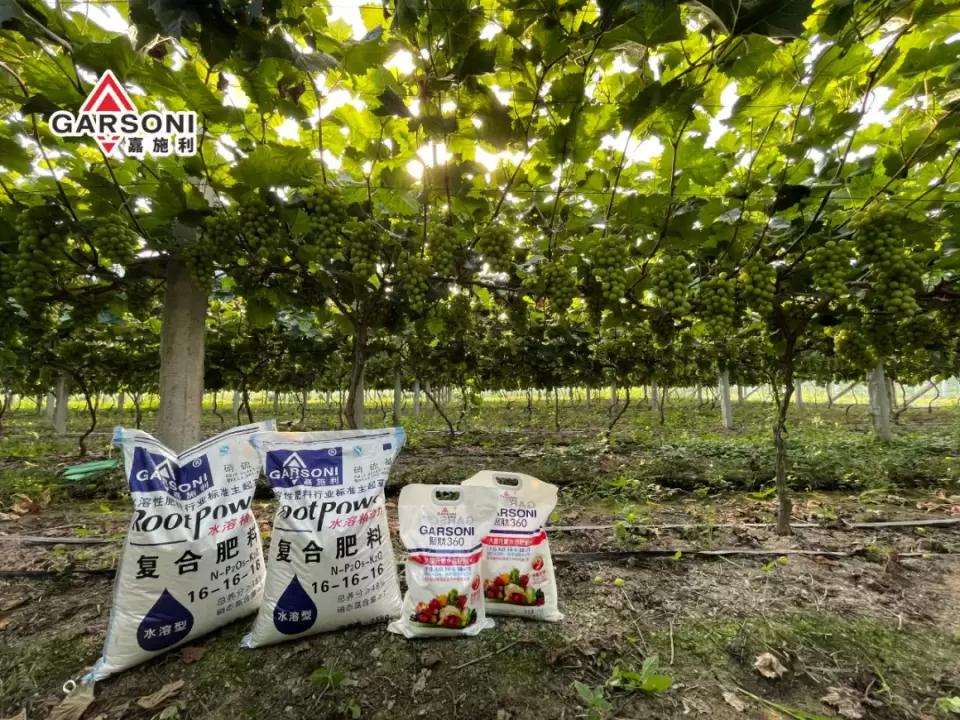 嘉施利抖音,嘉施利化肥有限公司视频