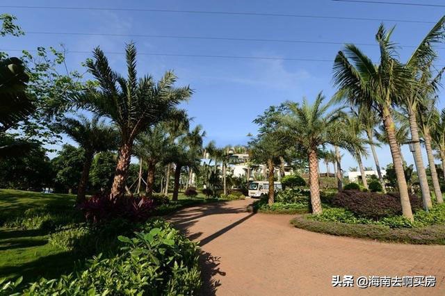 临高有哪些新楼盘,临高哪些楼盘值得购买