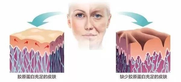 小黄瓜面霜保湿效果好吗,抗老修护保湿面霜澳洲