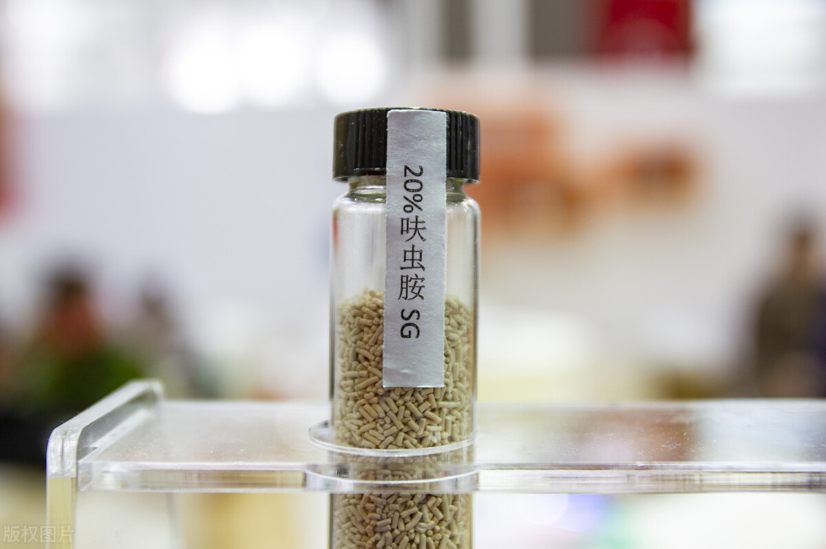 春天养花小黑飞,灭花盆黑小飞虫最简单的方法