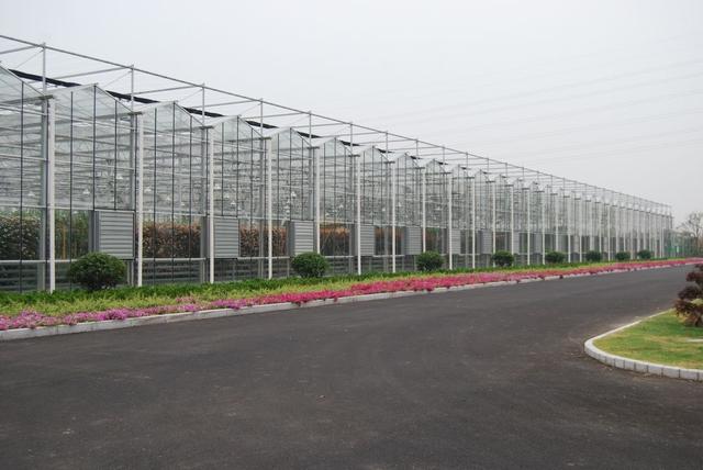 种植温室大棚一亩多少钱,四川玻璃温室大棚多少钱一平方米