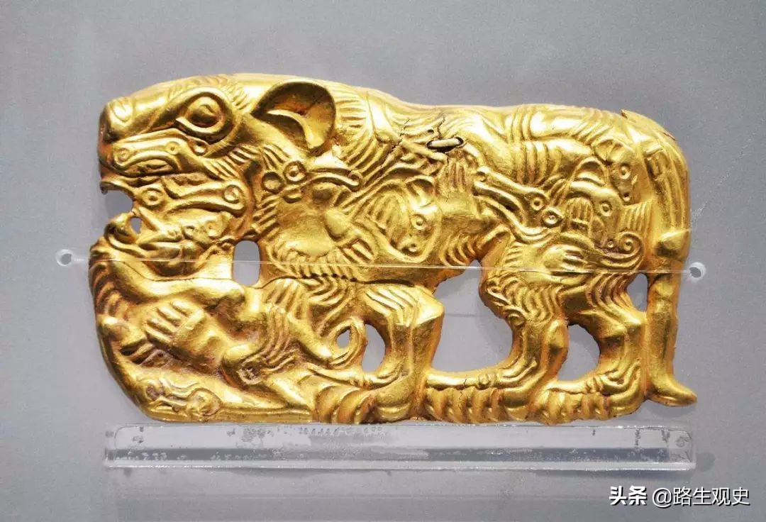 塞种人是雅利安人吗,塞种人简介