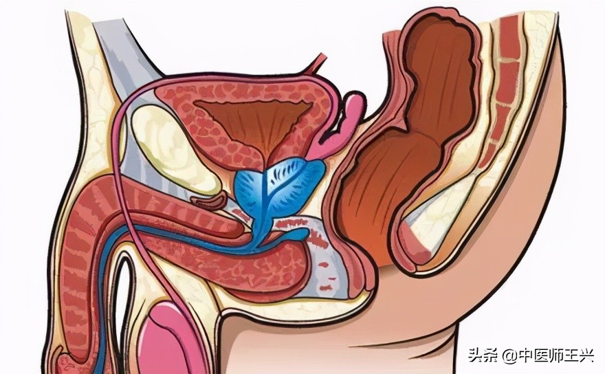 欧洲杯下的前列腺炎