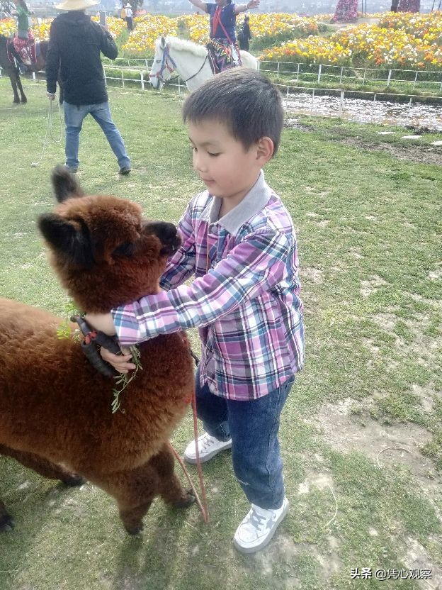 童心飞扬坊,童心飞扬