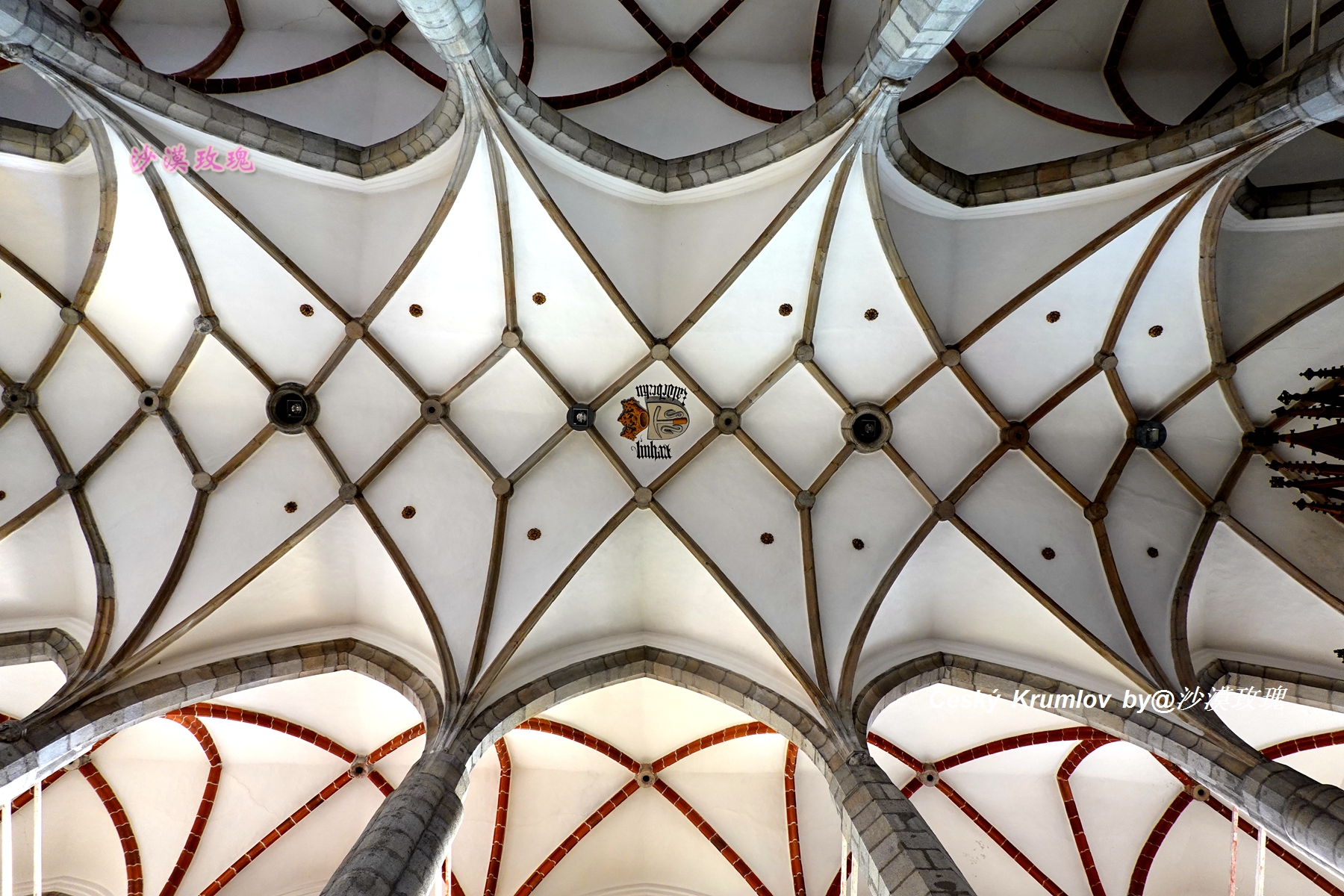 在有“捷克的丽江”之称的小镇,寻觅五瓣玫瑰的芳香