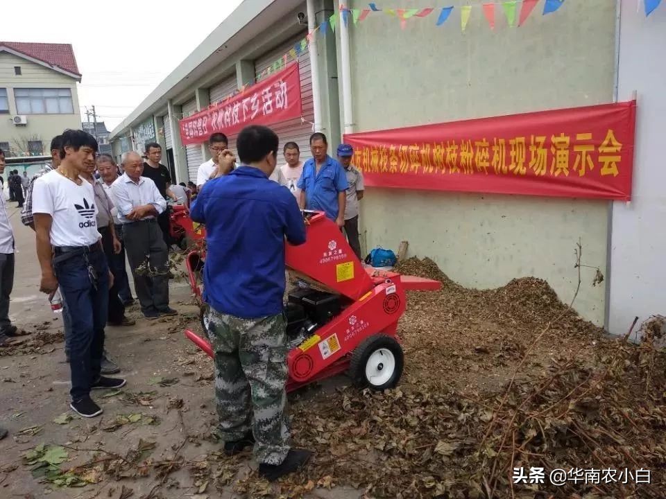 农村修剪的树枝再利用,果树变废为宝的方法