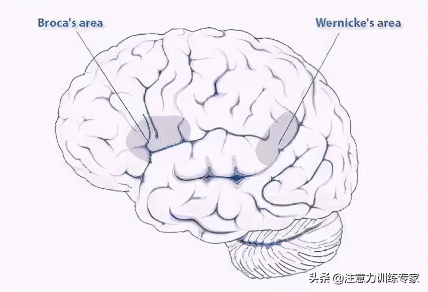 经常被家长吼的孩子智商会下降,常常被家长吼的孩子该如何自救