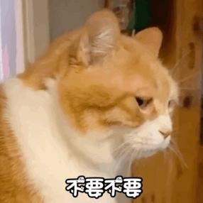 迈克家,迈克代购是真的吗