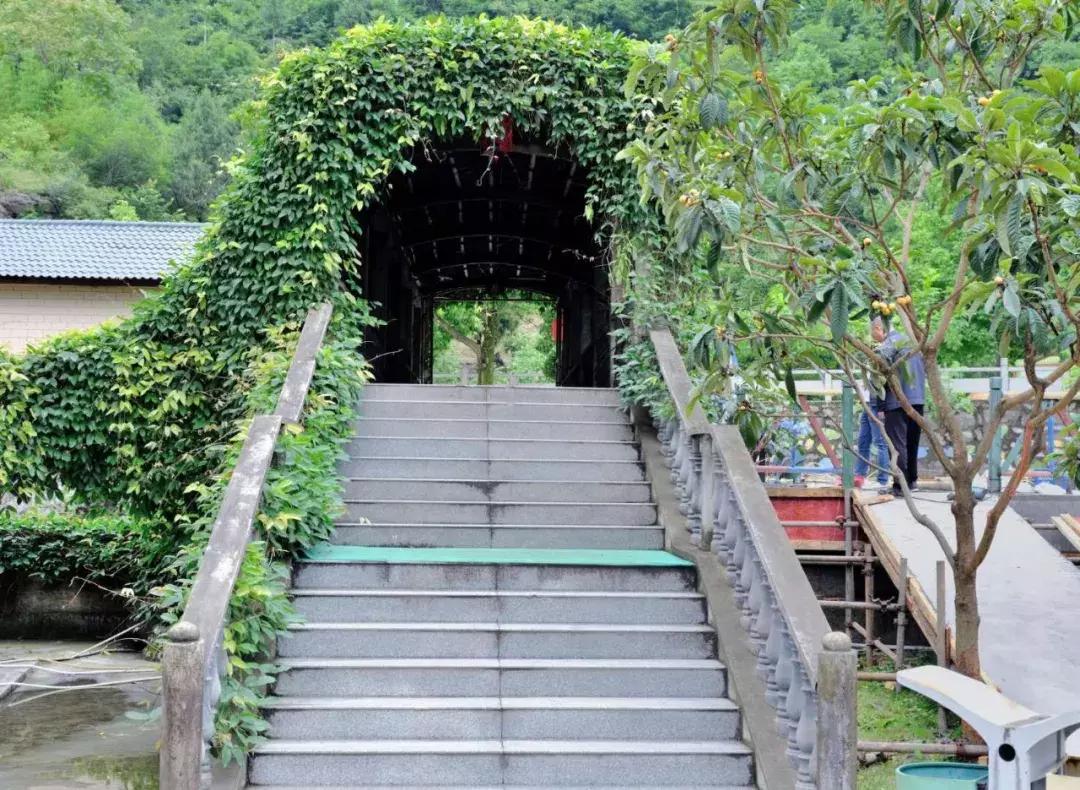 龙门峡谷景点推荐,龙门谷景区附近一日游