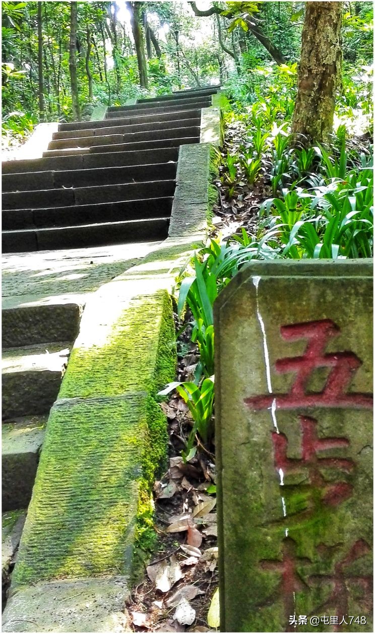 便宜小众旅游景点路线,冷门山林景点