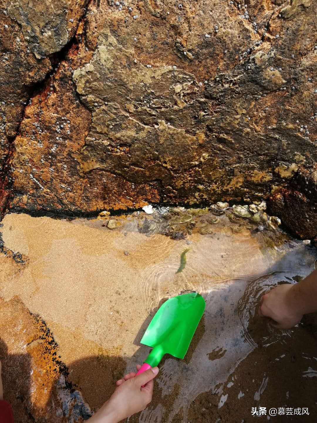 自由行去枸杞岛,枸杞岛自由行