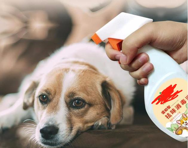 狗狗身上气味难闻怎么处理,狗狗刚到家异味去除方法