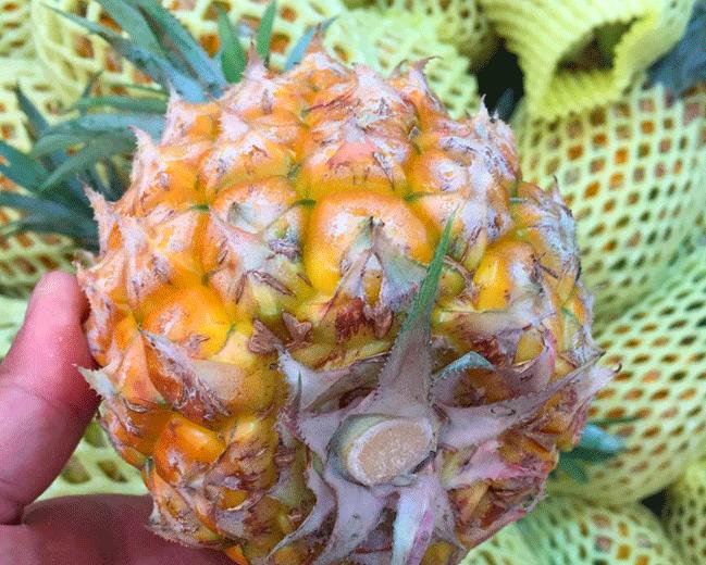 五月份吃什么水果是应季水果,5月必吃的6种应季水果