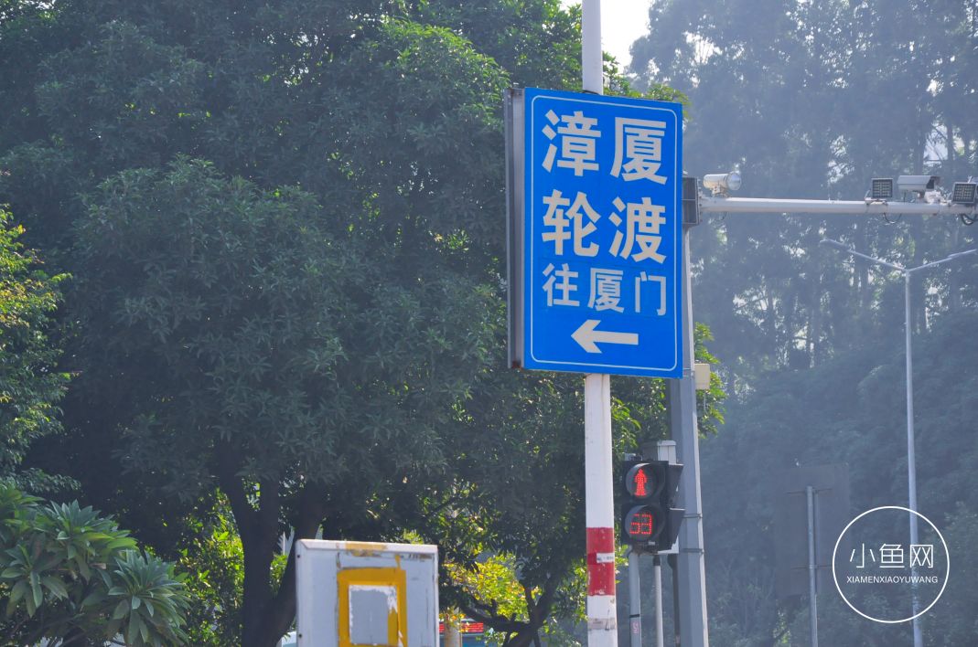 鬼城or未来可期？我们走进漳州港，发现“接盘侠”的各种悲喜交加