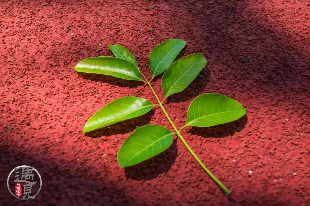 普宁二中操场改造,普宁流沙中华新城旧貌