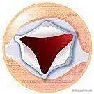 心脏说明书,这份通俗易懂的心脏说明书请收好