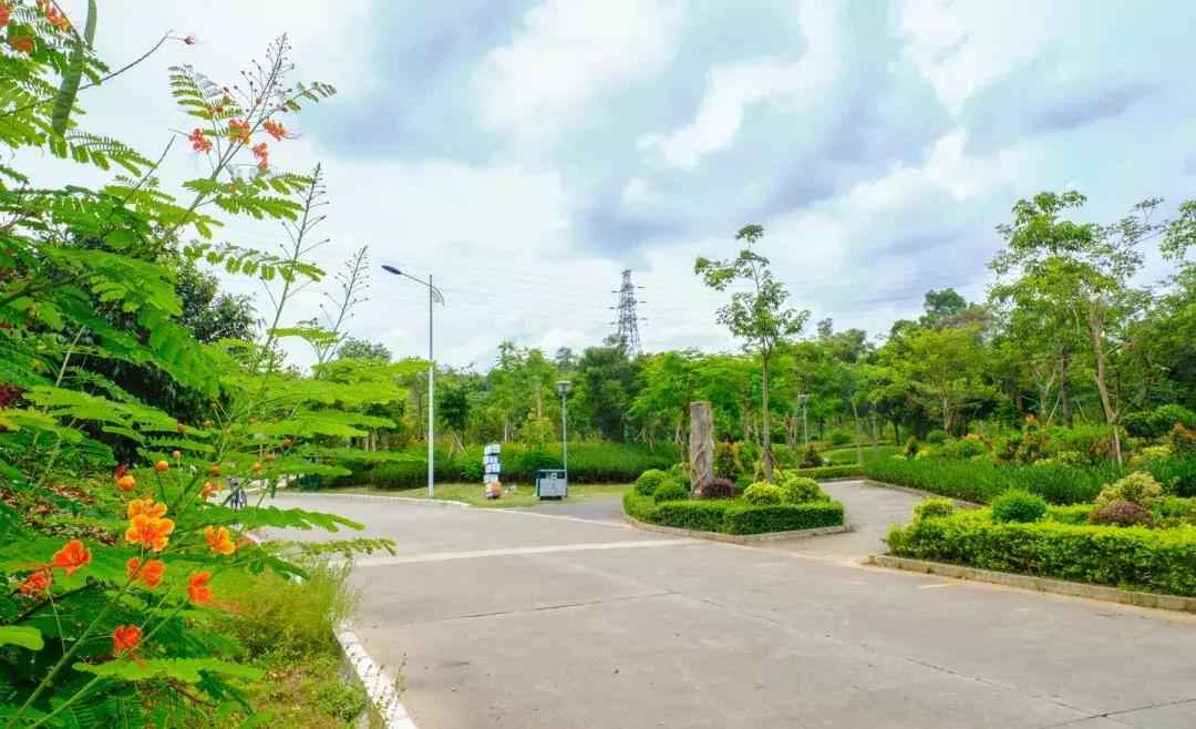 平湖低调小区,平湖品位