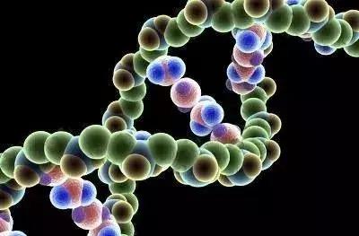 基因检测与肿瘤的靶向治疗，二者缺一不可