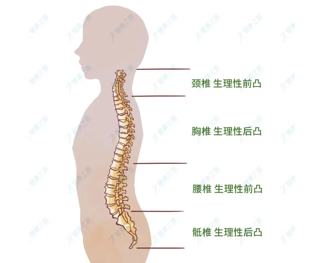 腰不好的人睡哪种床垫比较舒服,腰不好睡硬板床有什么标准
