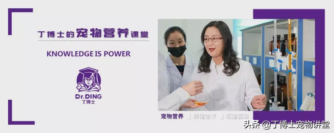 狗狗抽搐怎么急救视频教程,狗狗突然大叫抽搐怎么急救