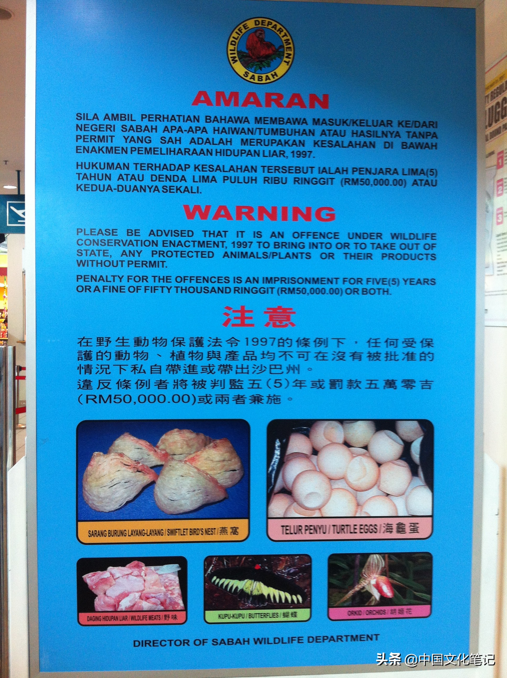 马来西亚沙巴大学旅游记,马来西亚沙巴亚庇水上清真寺游记