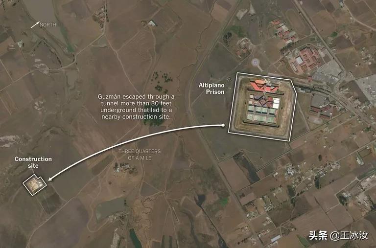 从选美冠军到总统,从选美冠军开始