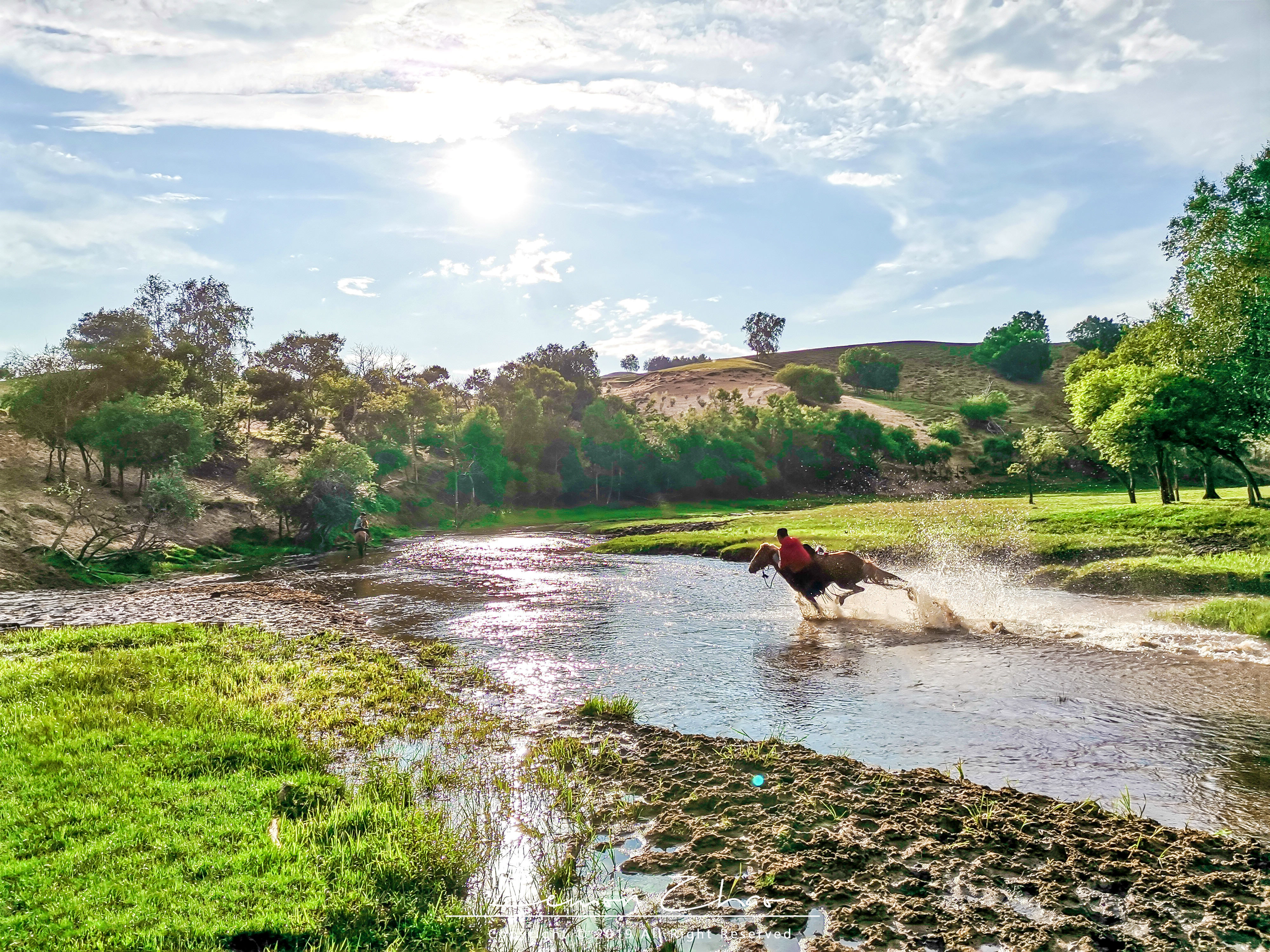 南方人内蒙古骑马体验,南方游客偶遇内蒙古牧民