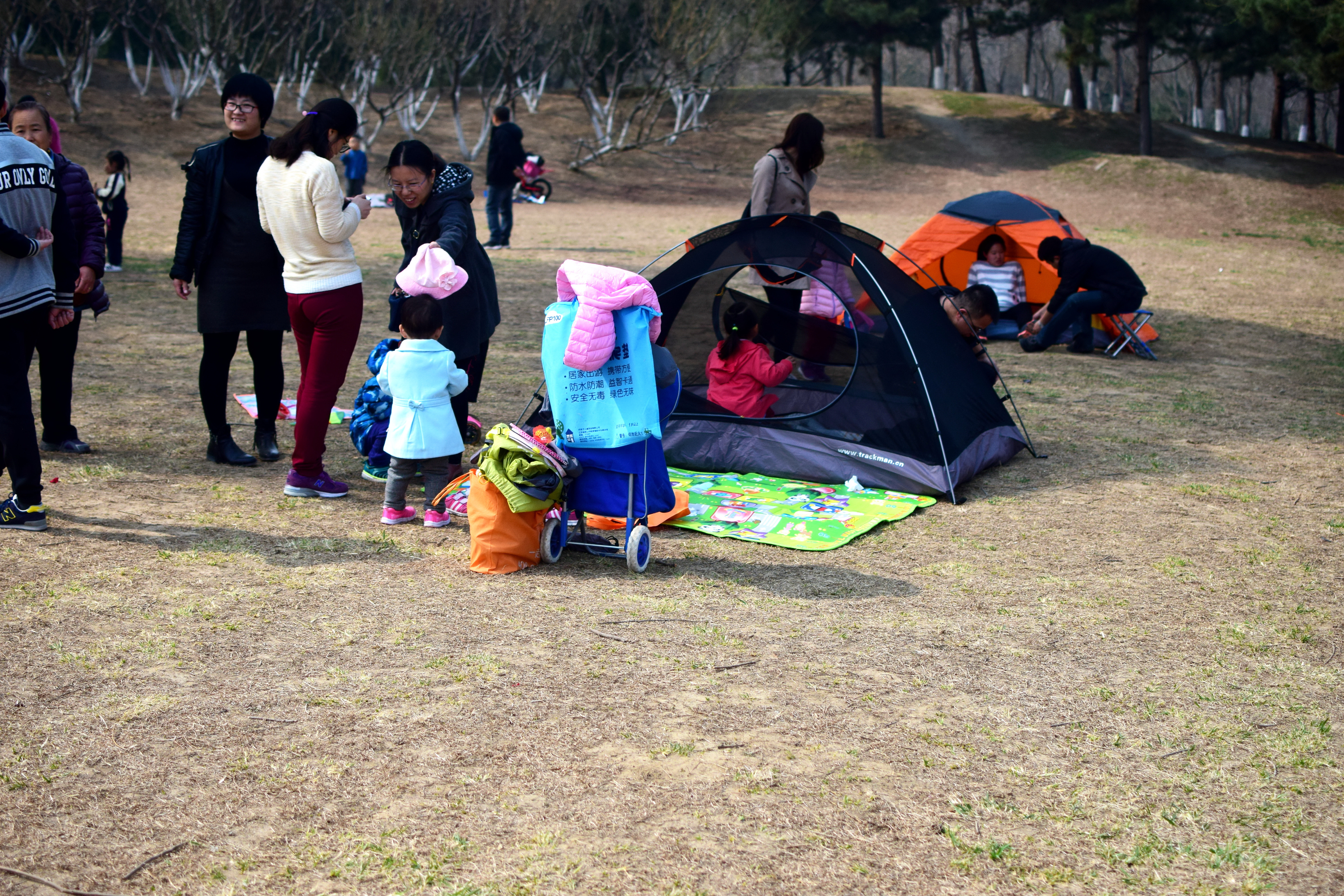 北京奥森冰场关了吗,北京奥森公园9日起闭园