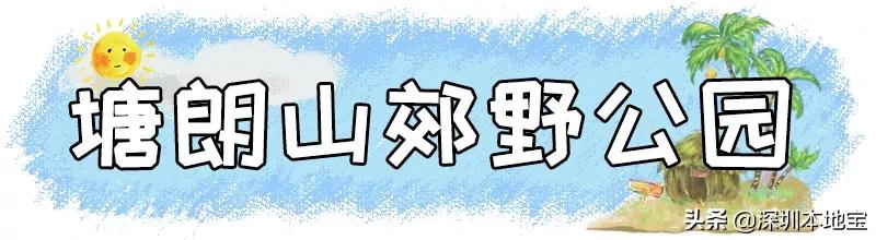 深圳有哪些地方免费景点,深圳都有什么景点免费游玩