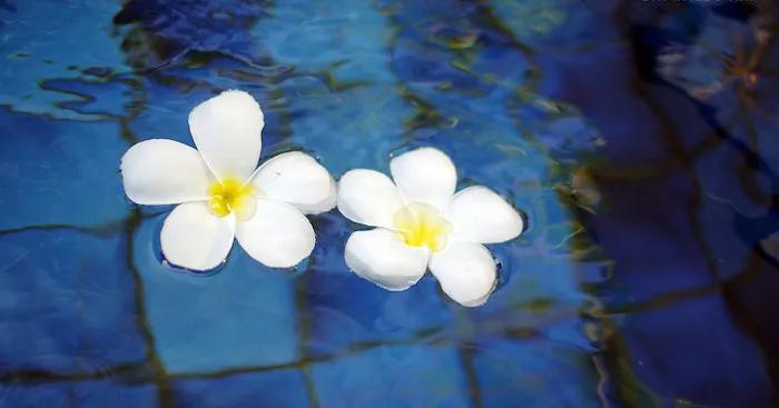 催眠有副作用吗,催眠真的有那么厉害吗